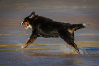CASWELL BAY 26th DECEMBER 2025