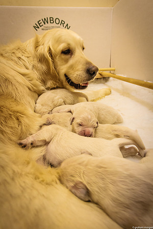 3 Days Old