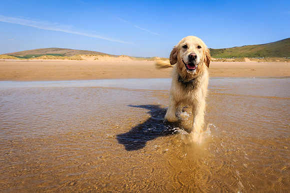 LLANGENNITH BEACH MAY 10TH 2017 - LIBBY
