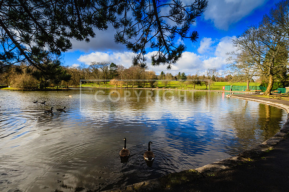 ABERDARE PARK