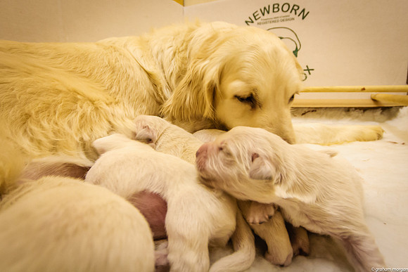 3 Days Old