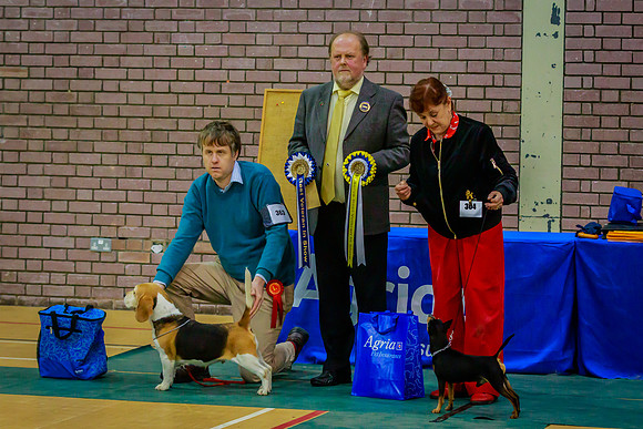 BEST VETERAN IN SHOW