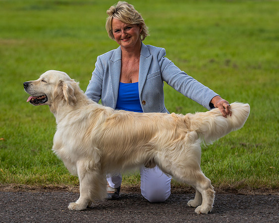 RING No. 198 SWGC DOG
