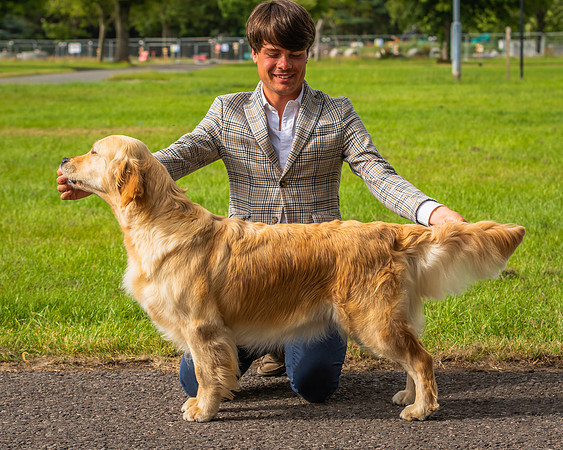 BEST IN SHOW  192 BITCH