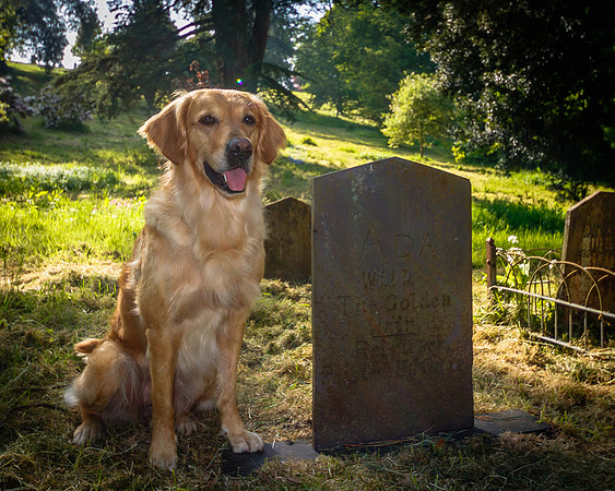 VISIT TO THE GRAVE OF ADA