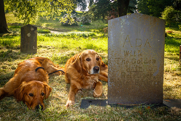 VISIT TO THE GRAVE OF ADA