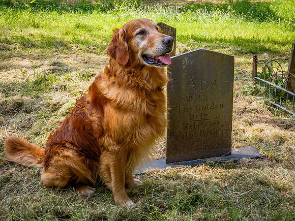 VISIT TO THE GRAVE OF ADA