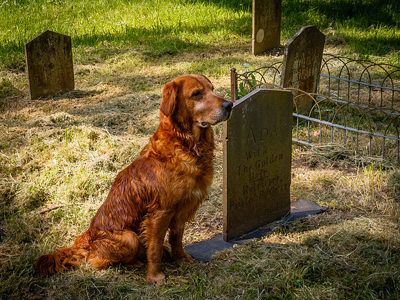 VISIT TO THE GRAVE OF ADA