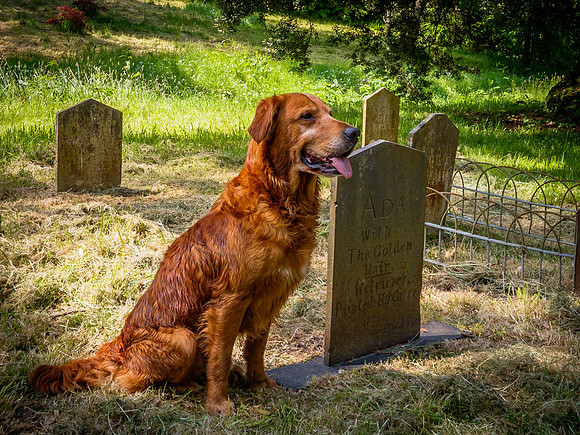 VISIT TO THE GRAVE OF ADA