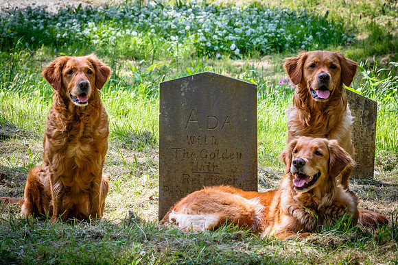 VISIT TO THE GRAVE OF ADA