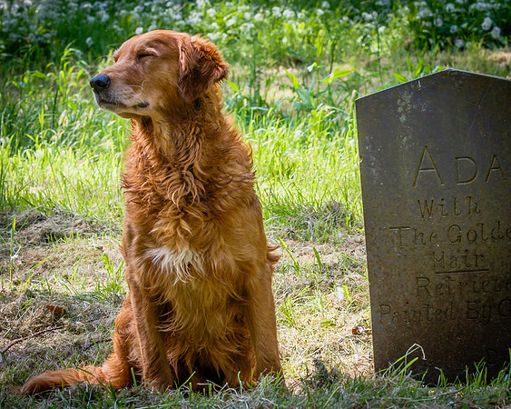 VISIT TO THE GRAVE OF ADA