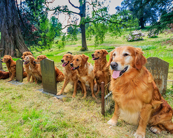 VISIT TO THE GRAVE OF ADA