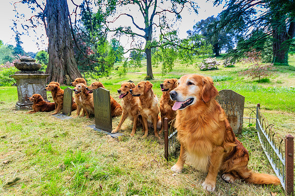 VISIT TO THE GRAVE OF ADA