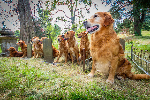 VISIT TO THE GRAVE OF ADA