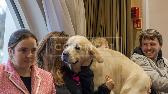 RANDOM DOGS-1-3