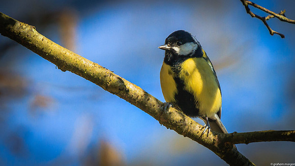 Aberdare Park-0025