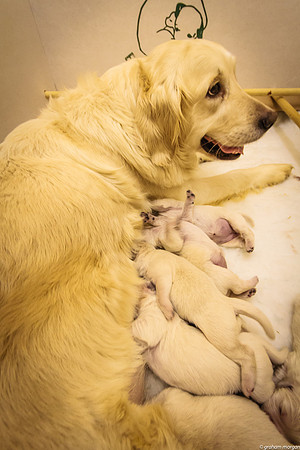 3 Days Old