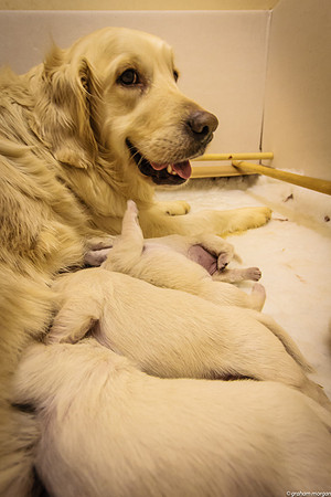 3 Days Old