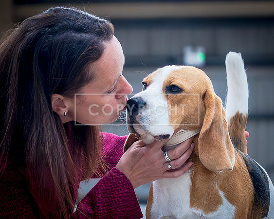 BEAGLE LESS SPIT AND WATERMAK