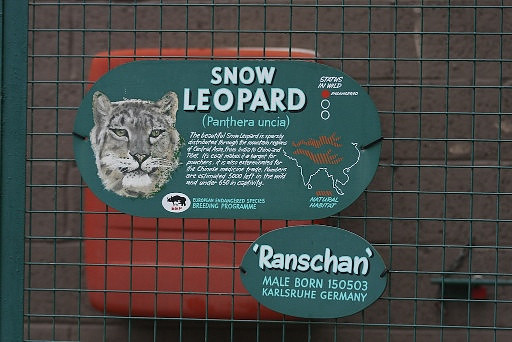 Snow Leopard Details